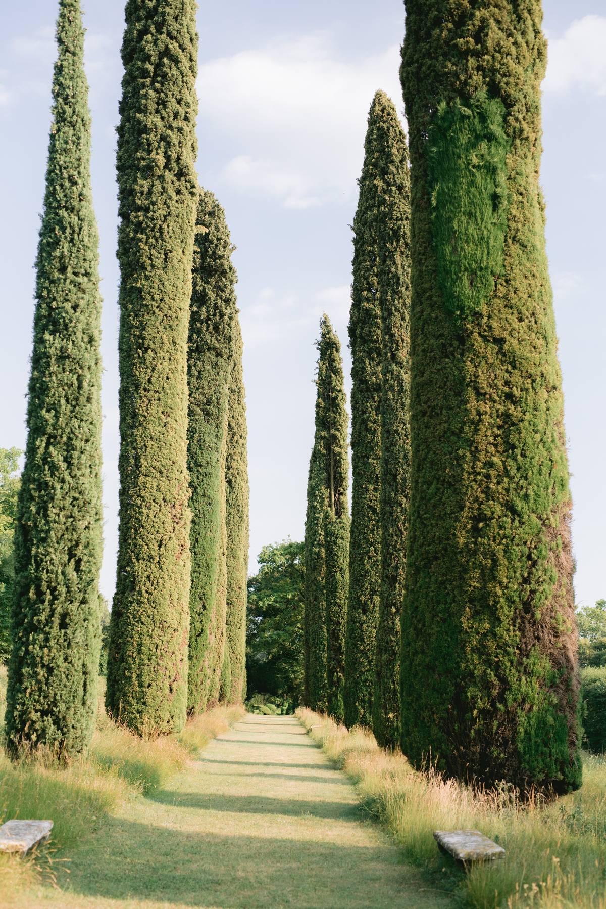 Viale belvedere