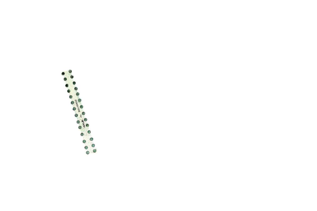 Giardino pojega app 8